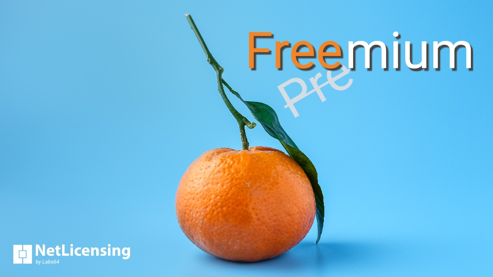 Importance of Freemium Pricing Model